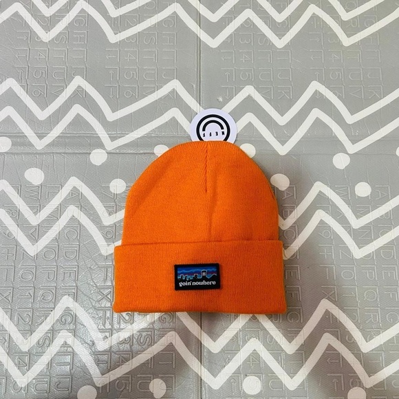 Other - Neff Patagonia style winter  beanie hat cap skateboarding